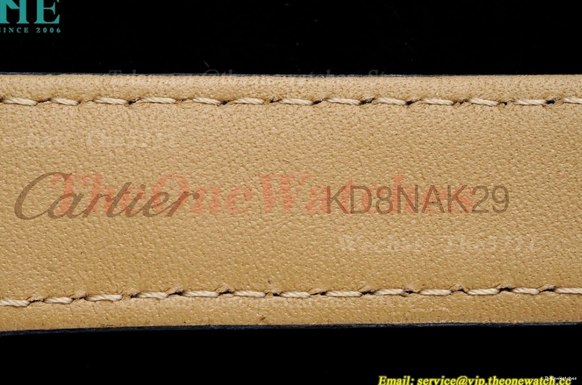 RG Santos Dumont LE Blue Dia Dial AF Quartz Silver 0329